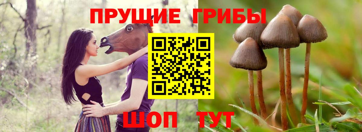 Галлюциногенные грибы мицелий Краснокамск